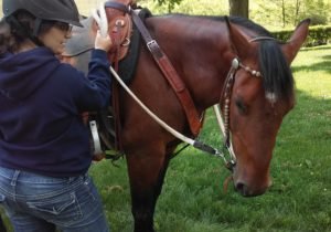 give your horse time to learn the right answer