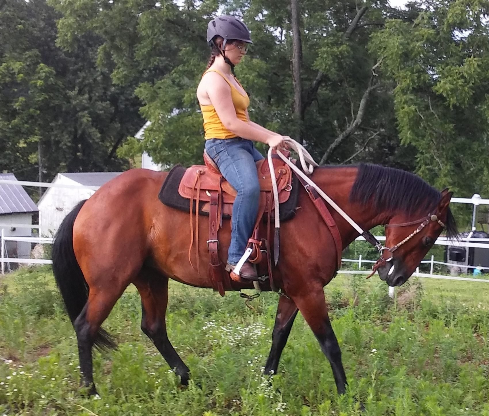 Dealing with Chronic Illness as an Equestrian