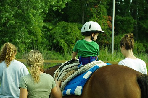 Hippotherapy: Horses as Therapy
