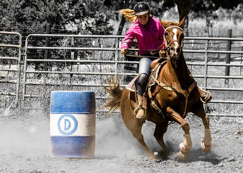 Jackpot vs Divisional vs Rodeo vs Futurity: What's the difference?