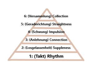 rhythm on the classical training pyramid