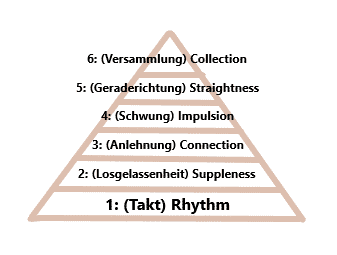 The Classical Training Pyramid