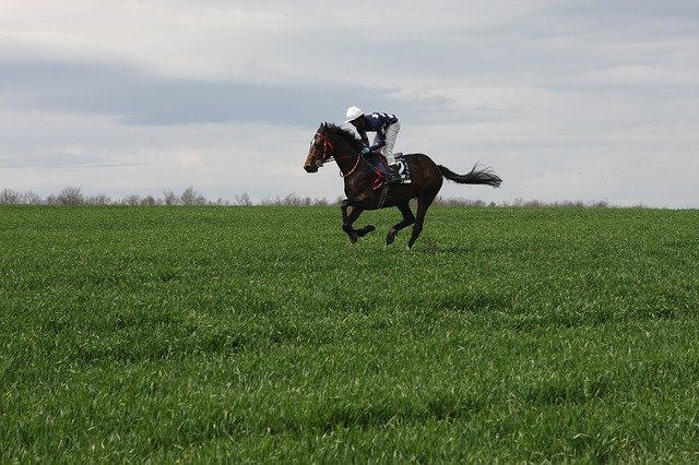 bolting horse