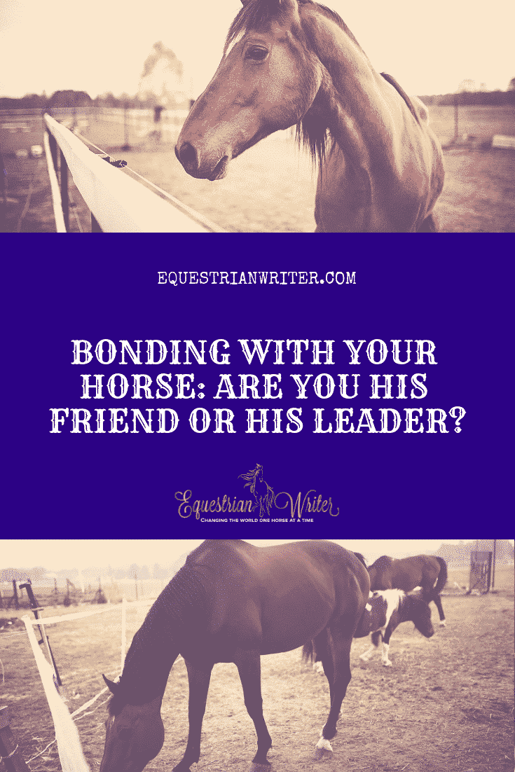 Bonding with Your Horse: Are you his friend or his leader?