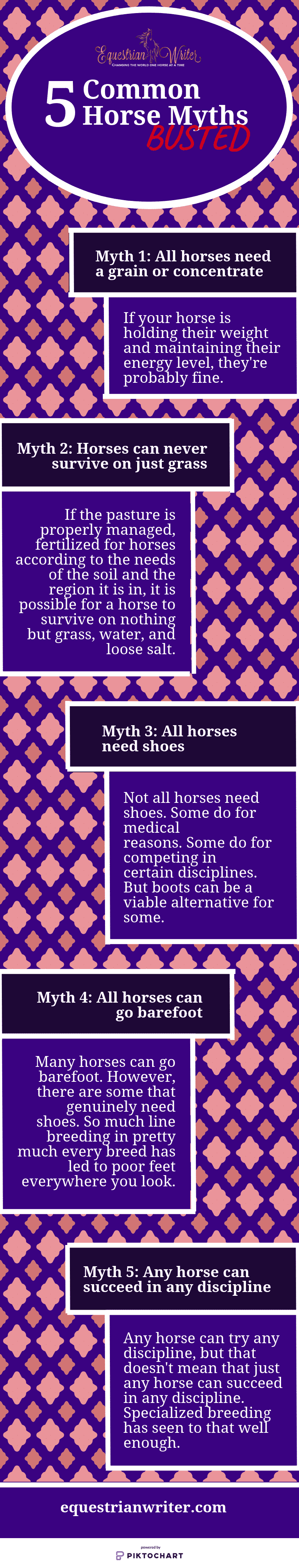 5 horse myths pinterest infographic