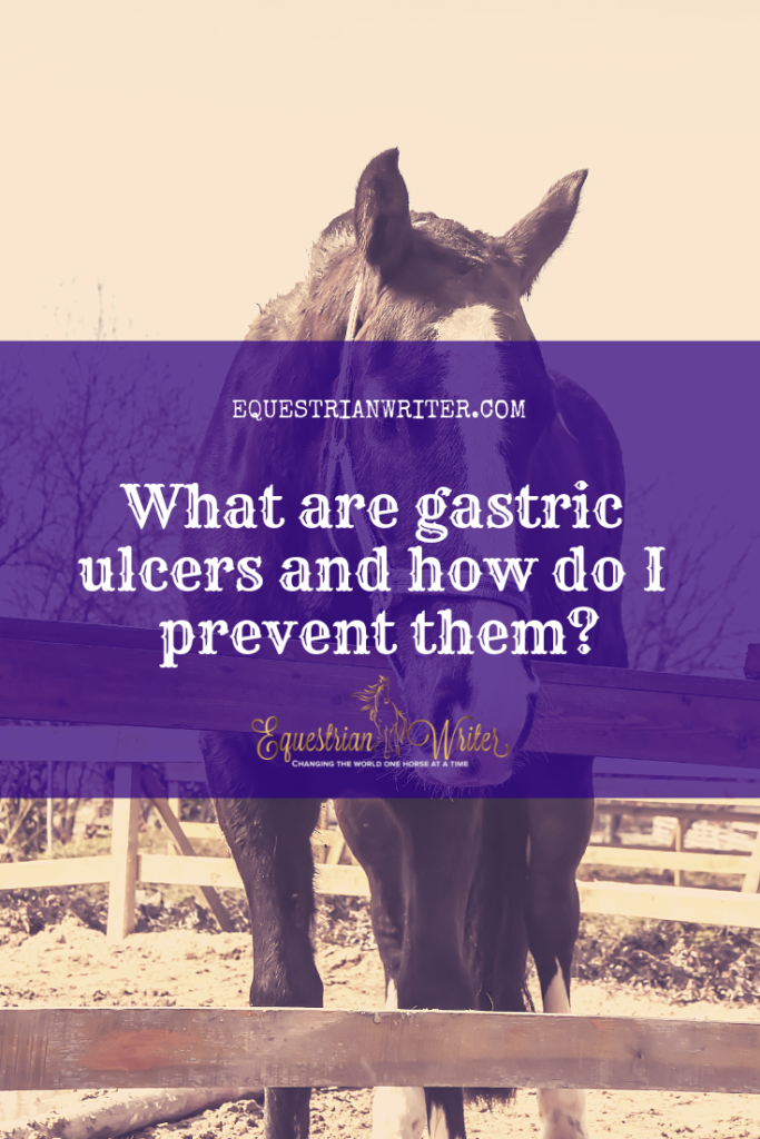 gastric ulcers pinterest cover photo