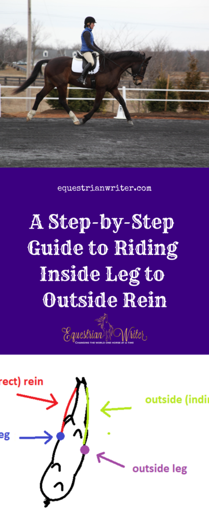 a step-by-step guide to riding inside leg to outside rein include detailed diagrams and discussion of the mechanics
