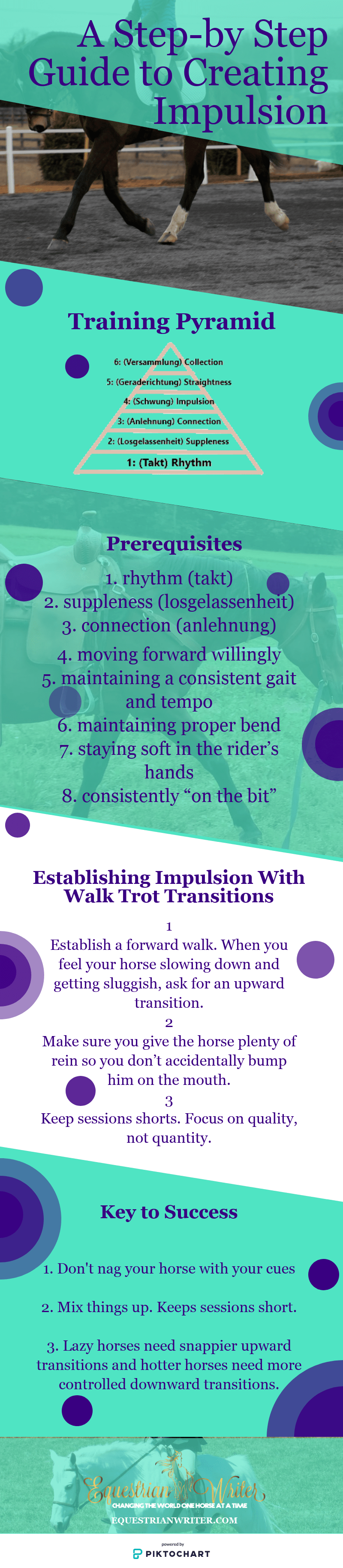 Use this step-by-step guide to create impulsion in your horse and move one step closure to achieving true collection. #horses #horsetraining #dressage #dressagetraining #collection #trainingcollection