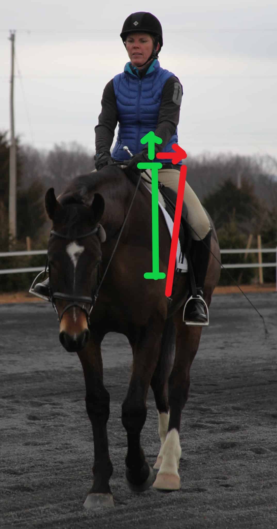 How do I pick up my horse's shoulder?