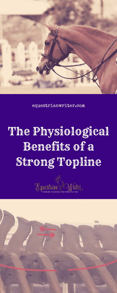 The Physiological Benefits of a Strong Topline