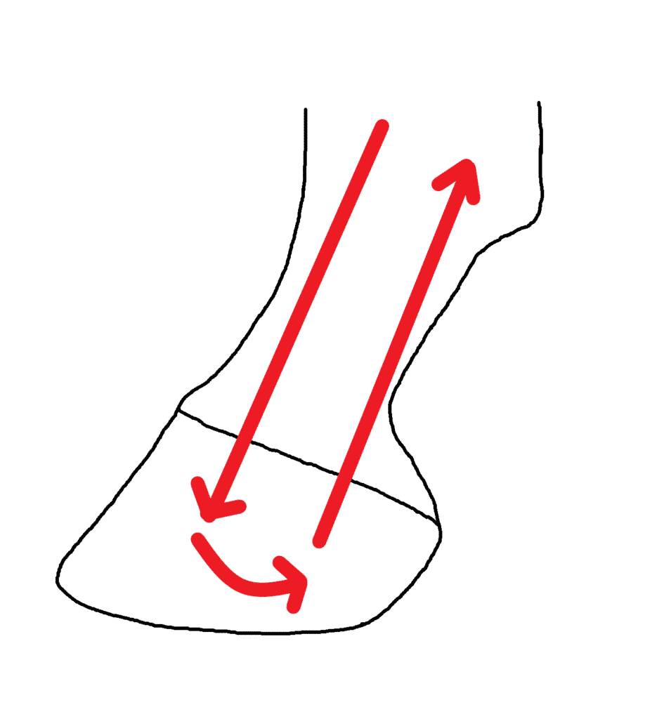 lower leg blood circulation