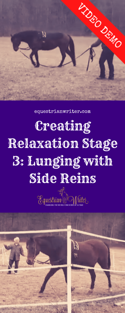 Creating Relaxation Stage 3: Lunging with Side Reins
