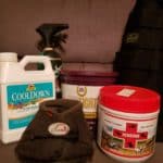 6 Horse Care Essentials Every Horse Owner Needs