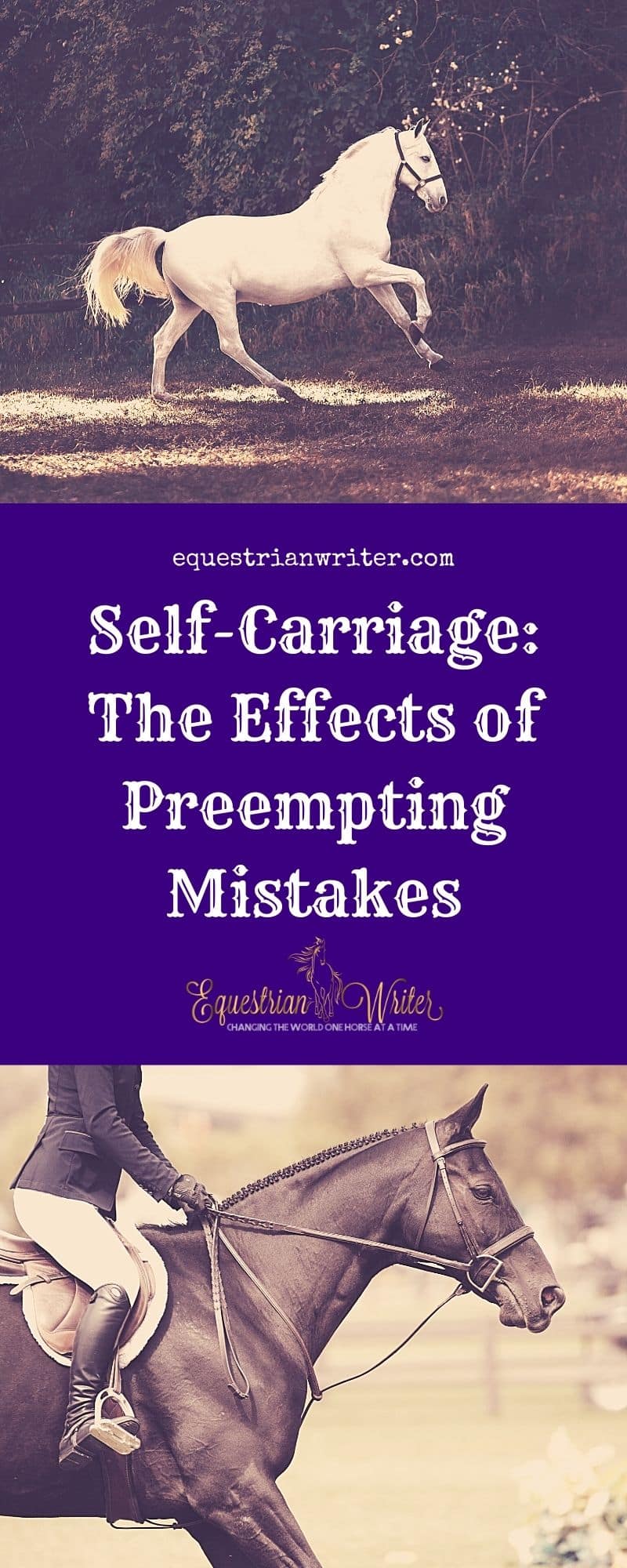 Self-Carriage: The Effects of Preempting Mistakes