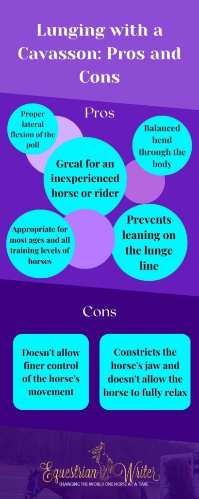 Pros and Cons of Lunging with a Cavesson