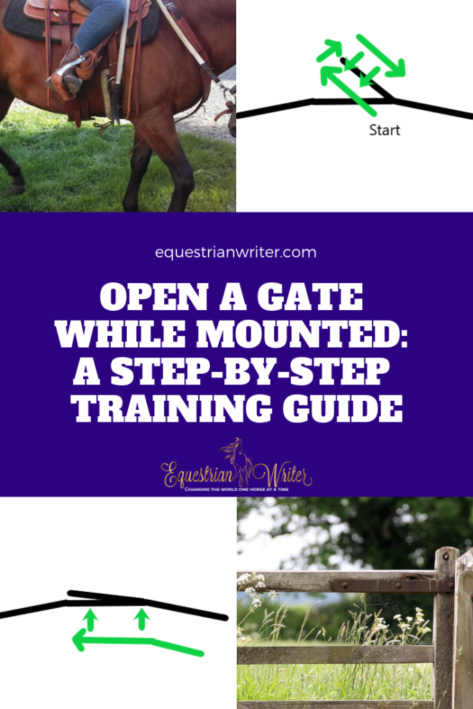 Open a Gate While Mounted: A Step-by-Step Training Guide | Equestrian ...