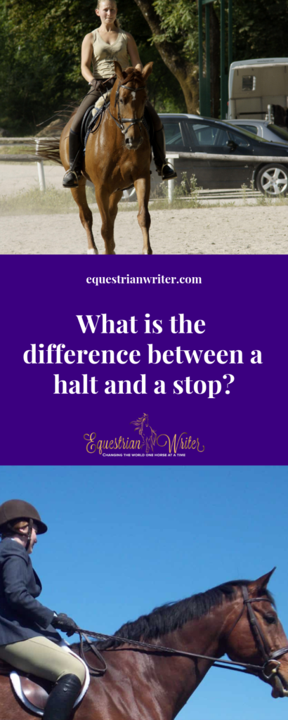 the-difference-between-a-halt-and-a-stop-equestrian-writer