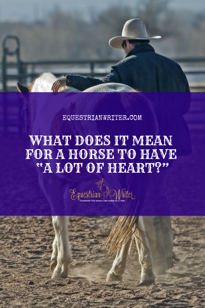 what-does-it-mean-for-a-horse-to-have-a-lot-of-heart-equestrian-writer