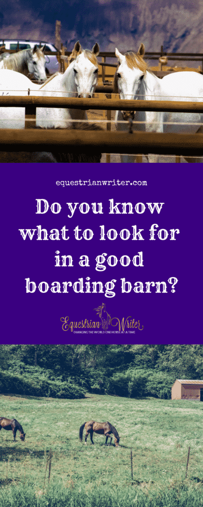 good boarding barn pinterest cover photo